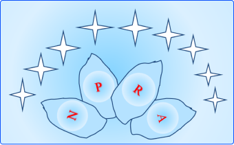 NPRA
